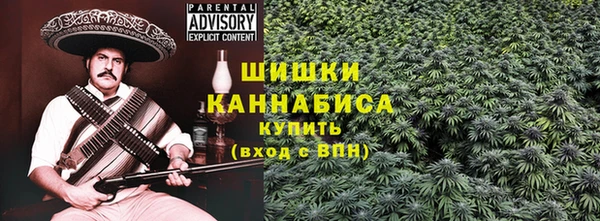 метадон Белокуриха
