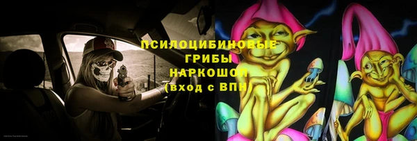метадон Белокуриха