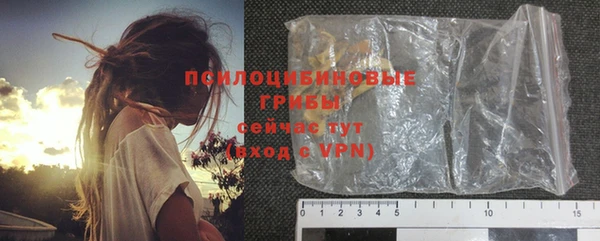 метадон Белокуриха