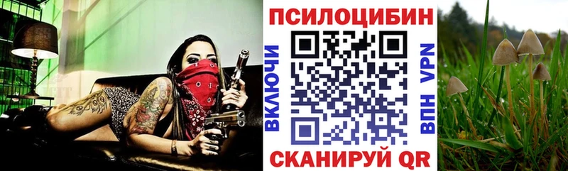 купить   Мышкин  Галлюциногенные грибы Magic Shrooms 